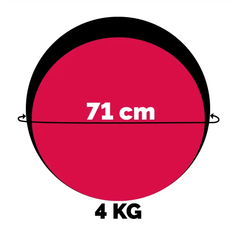 PELOTA MEDICINAL WINNER – 4 KG - Imagen 2