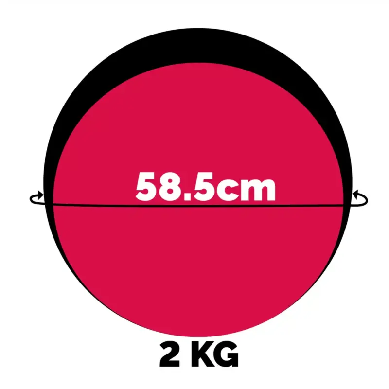 PELOTA MEDICINAL WINNER - 2 KG - Imagen 2