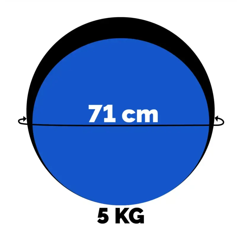 PELOTA MEDICINAL WINNER – 5 KG - Imagen 2