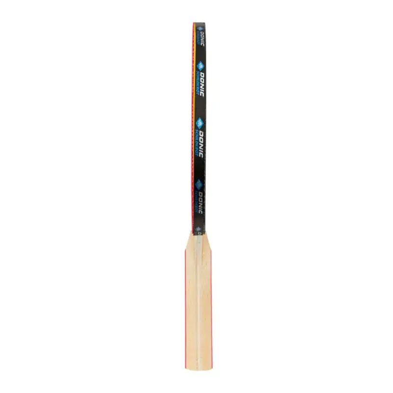 SET DE PING PONG DONIC APPELGREN LINE 300 - Imagen 6
