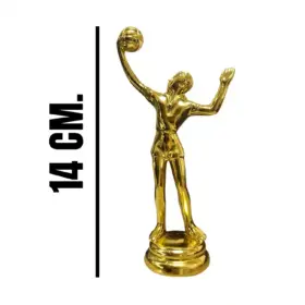 Alternative view of FIGURA PARA TROFEO VÓLEY DLM-0F2