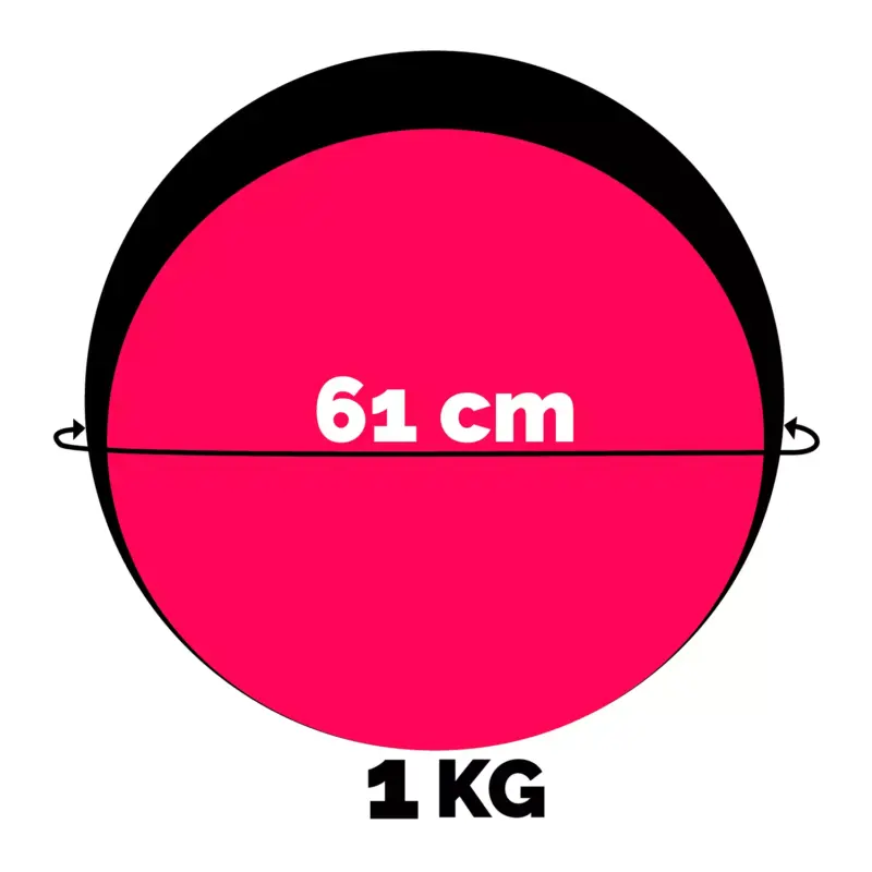 PELOTA MEDICINAL WINNER - 1 KG - Imagen 2