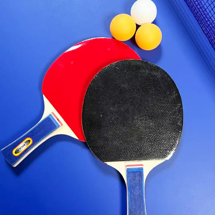 MESA DE PING PONG PLEGABLE PEQUEÑA 15MM - Imagen 4