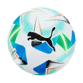 Pelota Puma Libertadores
