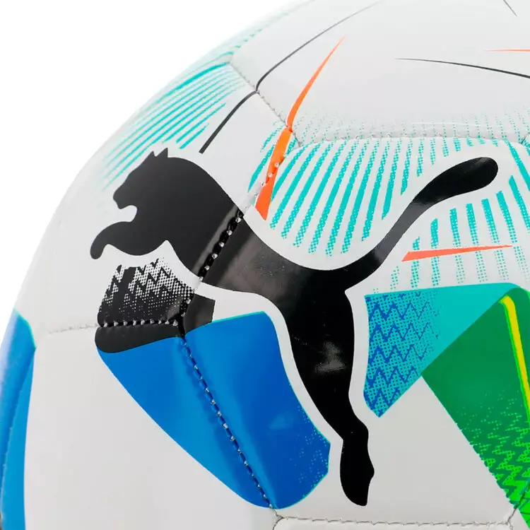 Pelota Puma Libertadores 2025