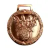 BRONCE