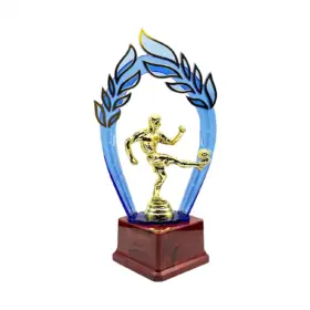 TROFEO DE FUTBOL 28 CM.