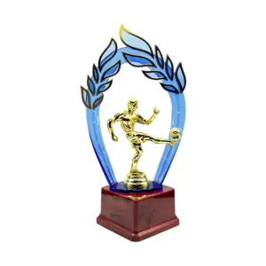 TROFEO DE FUTBOL 28 CM.