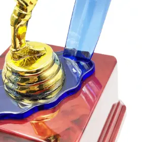 Alternative view of TROFEO DE FUTBOL 28 CM.