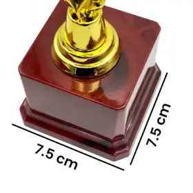 Alternative view of TROFEO DE BÁSQUET 18 CM. TROPE-09