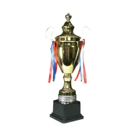 TROFEO DEPORTIVO 50 CM. MEDY-023