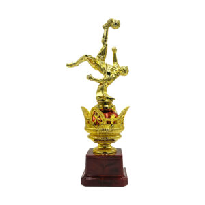 TTROFEO DE FÚTBOL 24 CM. TRONI-111